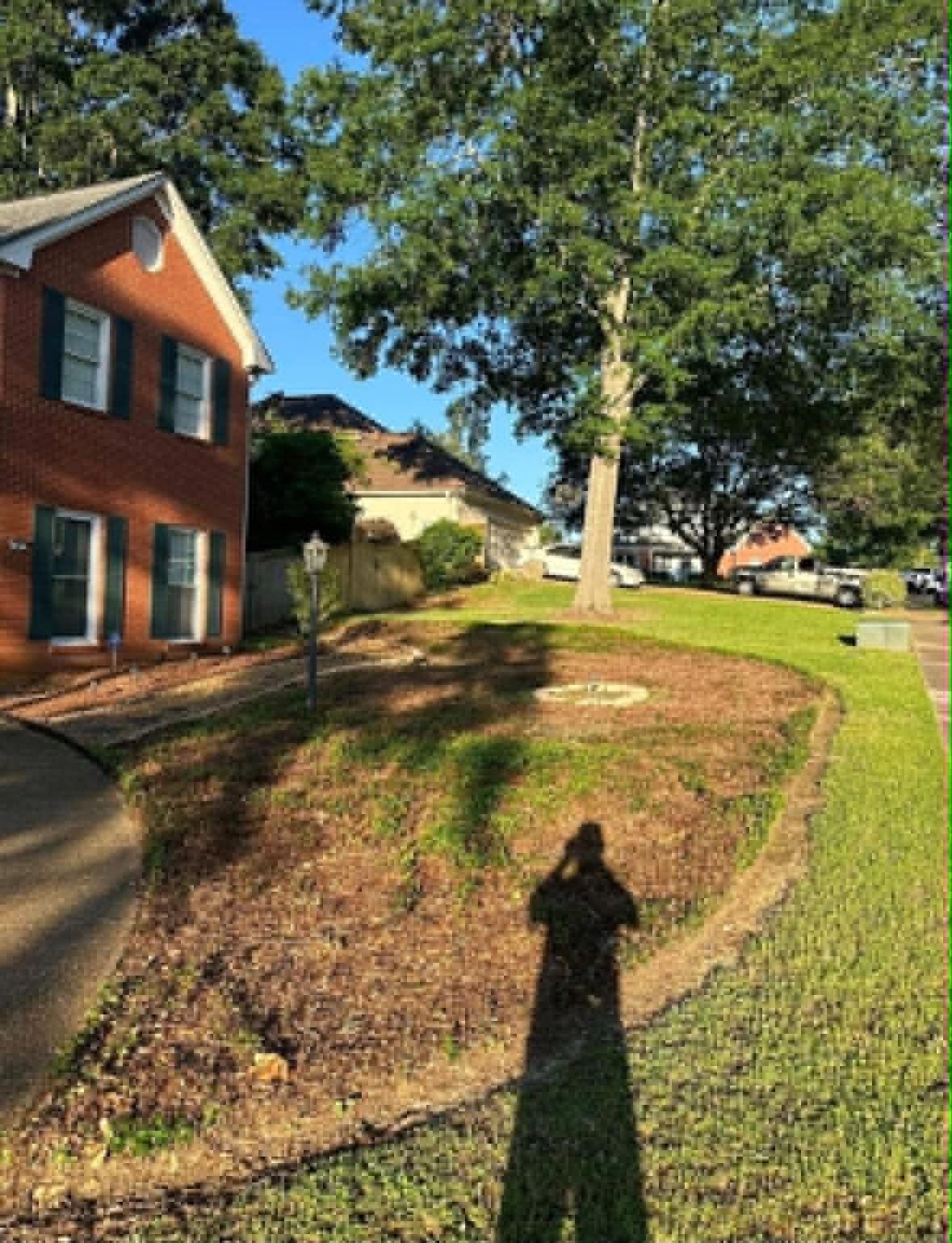 Flower Bed Renovations project by Oakvera Outdoor Living in Central Mississippi. New curved bed line cut around the front yard tree, ready for straw.